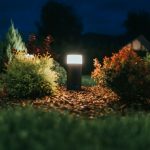 a group of bushes with lights in the background